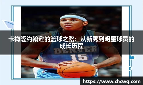 卡梅隆约翰逊的篮球之路：从新秀到明星球员的成长历程