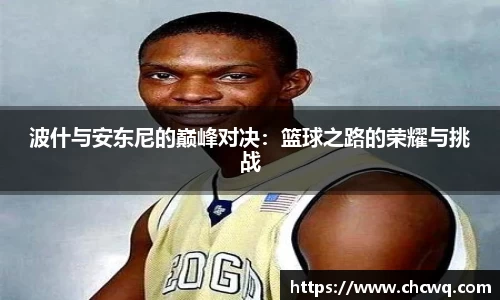 波什与安东尼的巅峰对决：篮球之路的荣耀与挑战